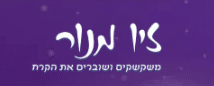 כתיבת תוכן לזיו מנור