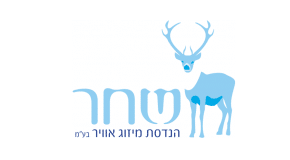 כתיבת תוכן לשחר