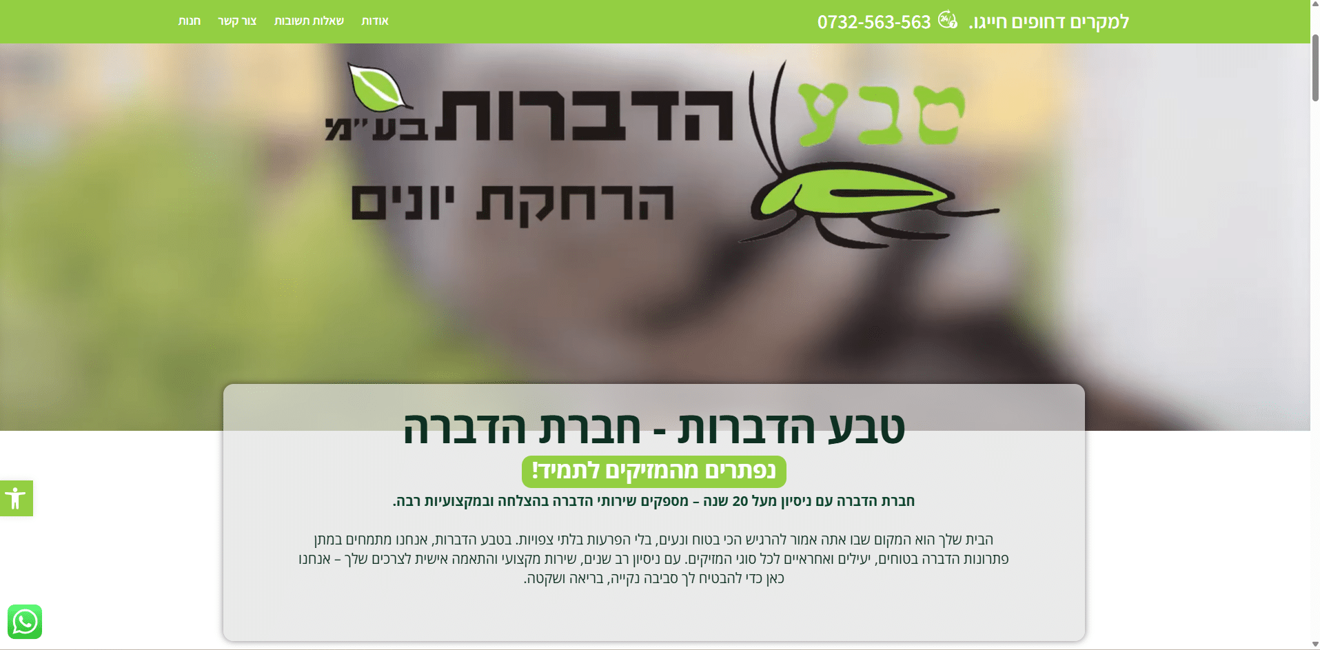 כתיבת תוכן לאתר הדברה